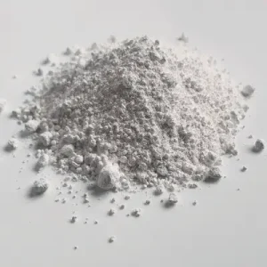 Accelerator